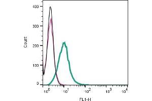 Cell surface detection of CTL1 by indirect flow cytometry in live intact human  monocytic leukemia cell line: + goat-anti-rabbit-FITC.