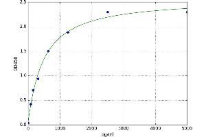 Amylase 1, Salivary (AMY1) ELISA Kit
