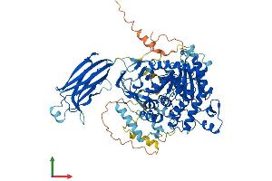 Protein Structure (PS) image for Phospholipase A2, Group IVA (Cytosolic, Calcium-Dependent) (PLA2G4A) (AA 1-748) protein (His tag) (ABIN7563287)