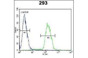 Flow cytometric analysis of 293 cells (right histogram) compared to a negative control cell (left histogram). (c-MYC 抗体  (AA 40-69))