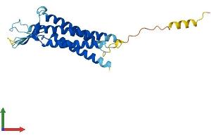 Protein Structure (PS) image for Claudin 22 (CLDN22) (AA 1-220) protein (His tag) (ABIN7561097)