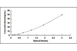 Typical standard curve (PLAC9 ELISA 试剂盒)