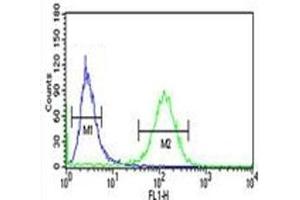 RAB27B antibody flow cytometric analysis of NCI-H460 cells (green) compared to a negative control (blue). (RAB27B 抗体  (AA 186-215))