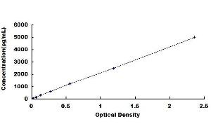 Typical standard curve (SCGB1A1 ELISA 试剂盒)