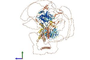 Protein Structure (PS) image for Nik Related Kinase (NRK) (AA 1-1455) protein (His tag) (ABIN7565175)