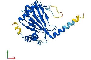 Protein Structure (PS) image for Egl-9 Family Hypoxia Inducible Factor 3 (EGLN3) (AA 1-239) protein (His tag) (ABIN7553810)