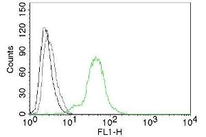 Flow Cytometry of human ER beta on BT474 cells. (ESR2 抗体  (C-Term) (CF®488A))