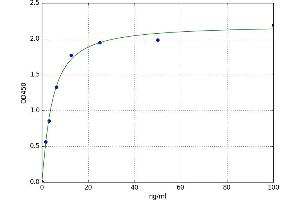 A typical standard curve (DBH ELISA 试剂盒)