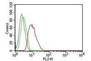 Flow Cytometric analysis of human Cyclin D1 on MCF-7 cells. (Cyclin D1 抗体  (PE))