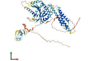 Protein Structure (PS) image for Ring Finger Protein 112 (RNF112) (AA 1-631) protein (His tag) (ABIN7551458)
