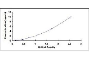 Typical standard curve (GCLM ELISA 试剂盒)