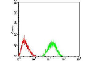 Flow cytometric analysis of SK-N-SH cells using CHRNA5 mouse mAb (green) and negative control (red).