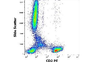 Flow cytometry surface staining pattern of human peripheral whole blood stained using anti-human CD2 (LT2) PE antibody (20 μL reagent / 100 μL of peripheral whole blood). (CD2 抗体  (PE))