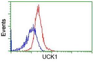 Flow cytometric Analysis of Hela cells, using anti-UCK1 antibody (ABIN2453770), (Red), compared to a nonspecific negative control antibody (ABIN2453770), (Blue). (UCK1 抗体)