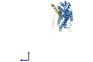Protein Structure (PS) image for Lysophosphatidic Acid Receptor 4 (LPAR4) (AA 1-370) protein (His tag) (ABIN7558740)