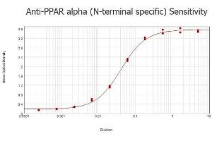 ELISA results of purified Rabbit anti-PPAR Alpha (N-terminal specific) Antibody tested against BSA-conjugated peptide of immunizing peptide. (PPARA 抗体  (N-Term))