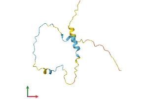 AlphaFold protein structure predicition of Human Recombinant LBH Protein, UniprotID Q53QV2 (LBH Protein (AA 1-105) (His tag))