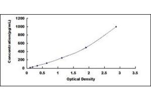 Typical standard curve (IL-17 ELISA 试剂盒)