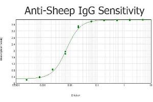 ELISA results of purified Donkey anti-Sheep IgG Antibody Peroxidase Conjugated tested against purified Sheep IgG. (驴 anti-绵羊 IgG (Heavy & Light Chain) Antibody (HRP))