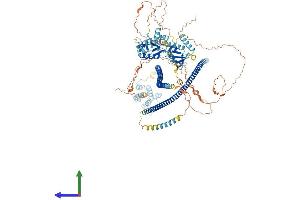 Protein Structure (PS) image for Caspase Recruitment Domain Family, Member 10 (CARD10) (AA 1-1021) protein (His tag) (ABIN7563470)