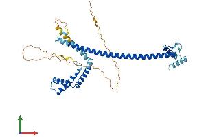 Protein Structure (PS) image for High-Mobility Group 20A (HMG20A) (AA 1-346) protein (His tag) (ABIN7561317)