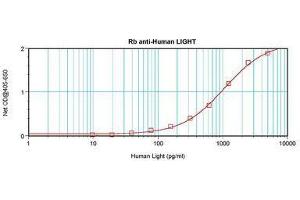 Image no. 1 for anti-Tumor Necrosis Factor (Ligand) Superfamily, Member 14 (TNFSF14) antibody (ABIN465433) (TNFSF14 抗体)