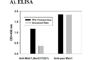 Image no. 2 for Mitogen-Activated Protein Kinase Kinase 1 (MAP2K1) ELISA Kit (ABIN1981725) (MEK1 ELISA 试剂盒)