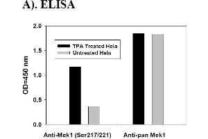 Image no. 2 for Mitogen-Activated Protein Kinase Kinase 1 (MAP2K1) ELISA Kit (ABIN1981803) (MEK1 ELISA 试剂盒)