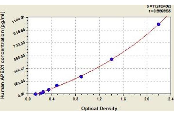 APEX1 ELISA 试剂盒