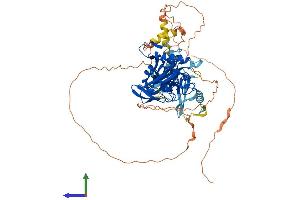 AlphaFold protein structure predicition of Mouse Recombinant Tiparp Protein, UniprotID Q8C1B2