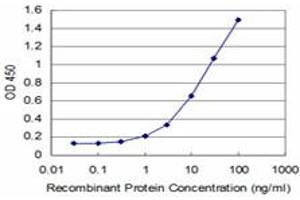 Detection limit for recombinant GST tagged MEF2A is approximately 1ng/ml as a capture antibody. (MEF2A 抗体  (AA 71-170))