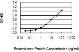 Detection limit for recombinant GST tagged IL17A is 0. (Interleukin 17a 抗体  (AA 24-133))