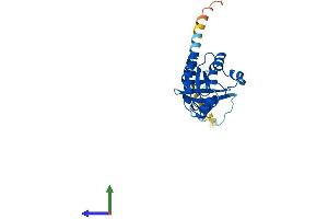 Protein Structure (PS) image for Ras Homolog Gene Family, Member V (RHOV) (AA 1-236) protein (His tag) (ABIN7559873)
