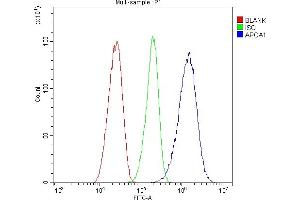 Flow Cytometry analysis of HepG2 cells using anti-APOA1 antibody (ABIN4886466). (APOA1 抗体  (AA 25-267))
