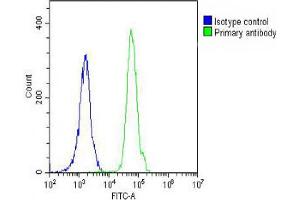 Overlay histogram showing Jurkat cells stained with (ABIN390474 and ABIN2840840) (green line). (Caspase 8 抗体  (C-Term))