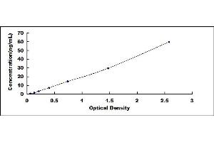 Typical standard curve (IgA2 ELISA 试剂盒)