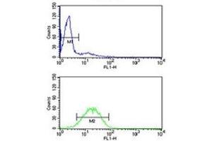 Flow Cytometry (FACS) image for anti-Voltage-Dependent Anion Channel 1 (VDAC1) (AA 95-124) antibody (ABIN3029603)