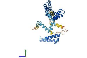 AlphaFold protein structure predicition of Mouse Recombinant Sgtb Protein, UniprotID Q8VD33