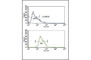 Flow Cytometry (FACS) image for anti-Alcohol Dehydrogenase 1C (Class I), gamma Polypeptide (ADH1C) (AA 231-260) antibody (ABIN651725)