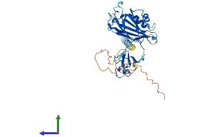 AlphaFold protein structure predicition of Mouse Recombinant Cgrrf1 Protein, UniprotID Q8BMJ7 (CGR19 Protein (AA 1-332) (His tag))