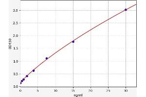 Typical standard curve (SLC2A13 ELISA 试剂盒)