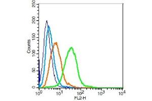 Flow Cytometry (FACS) image for anti-Tumor Necrosis Factor Receptor Superfamily, Member 17 (TNFRSF17) (AA 12-110) antibody (ABIN705041)
