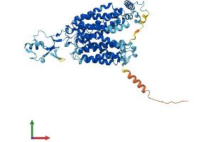 Protein Structure (PS) image for Solute Carrier Family 22 Member 5 (SLC22A5) (AA 1-557) protein (His tag) (ABIN7556339)