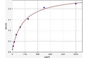 Podoplanin ELISA 试剂盒