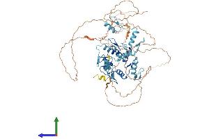 Protein Structure (PS) image for CCCTC-Binding Factor (Zinc Finger Protein)-Like (CTCFL) (AA 1-663) protein (His tag) (ABIN7553561)