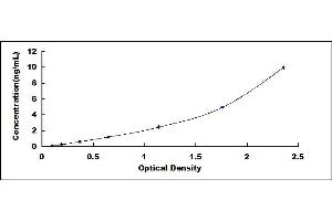 Typical standard curve (Alkaline Phosphatase ELISA 试剂盒)