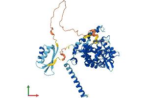 Protein Structure (PS) image for Tryptophan Hydroxylase 2 (TPH2) (AA 1-490) protein (His tag) (ABIN7544547)