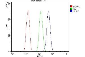 anti-UL16 Binding Protein 1 (ULBP1) (AA 27-209) antibody