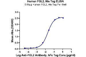 ELISA image for Fibrinogen-Like 2 (FGL2) (AA 205-439) protein (His-Avi Tag,DYKDDDDK Tag) (ABIN7274644)