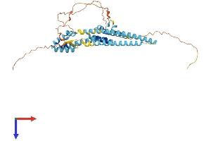 Arc Protein (AA 1-396) (His tag)